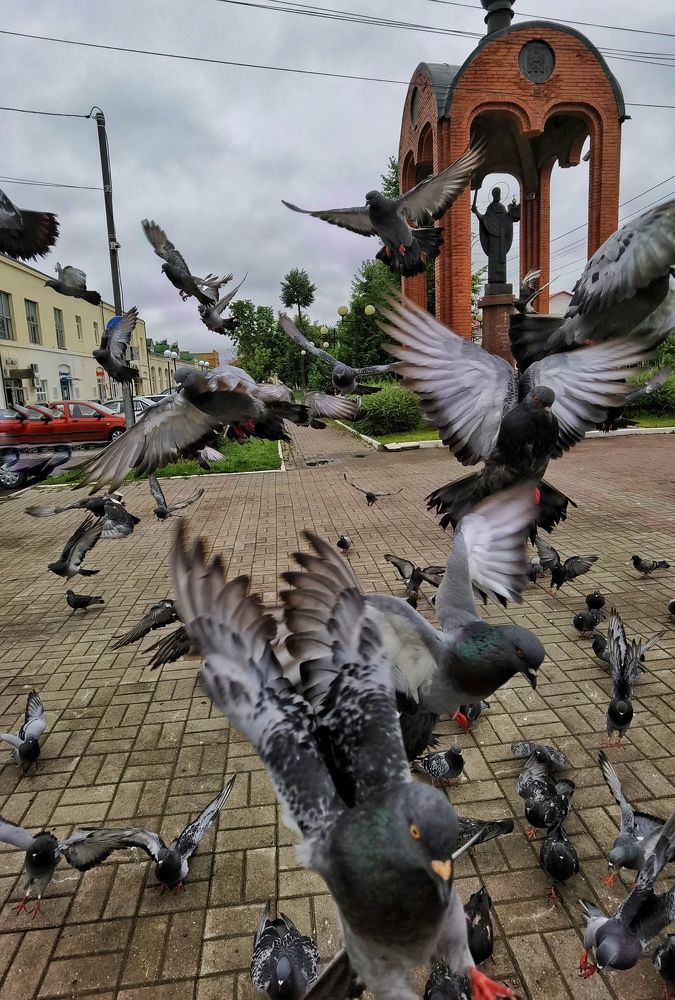 Фотография автора Анна Раздобарина