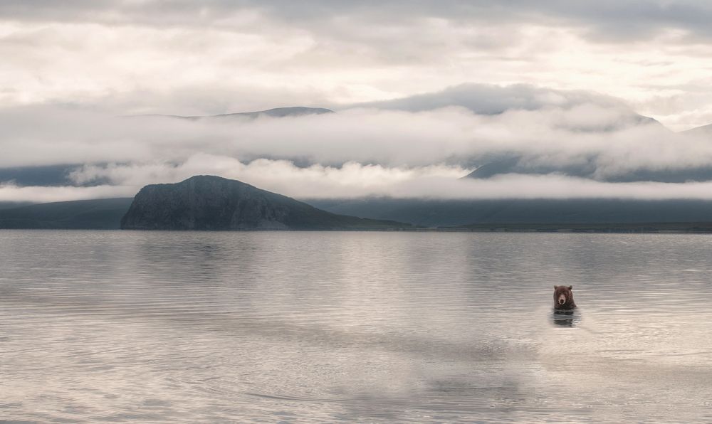 Photograph by Александр Поборчий