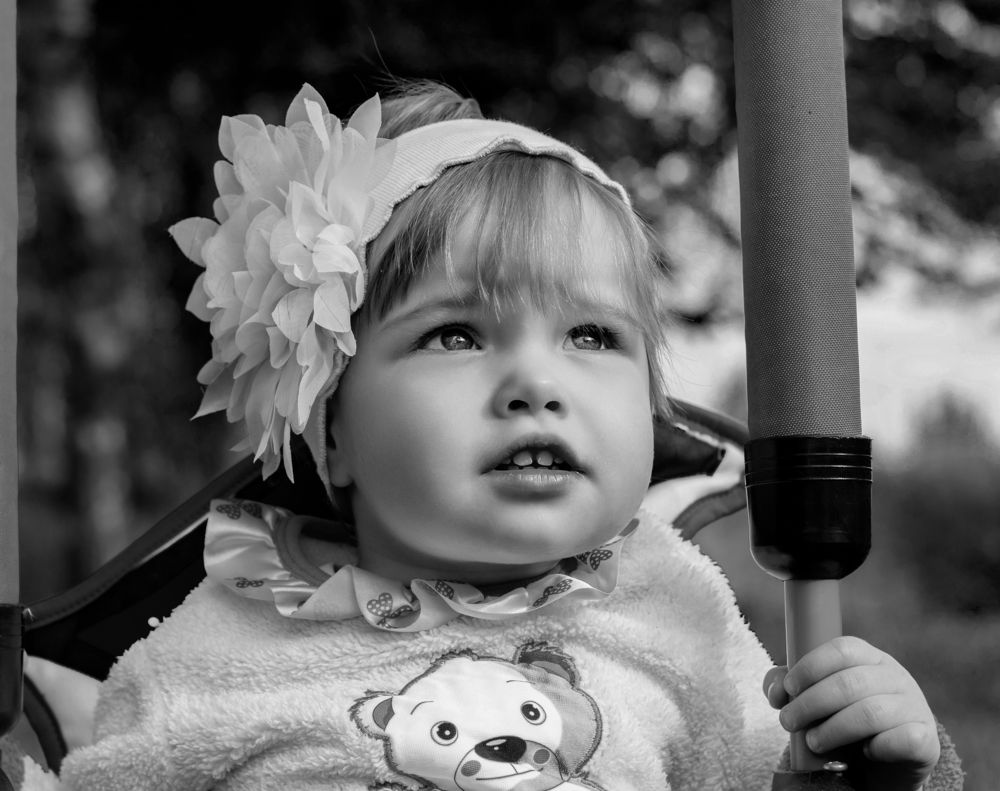 Photograph by Светлана