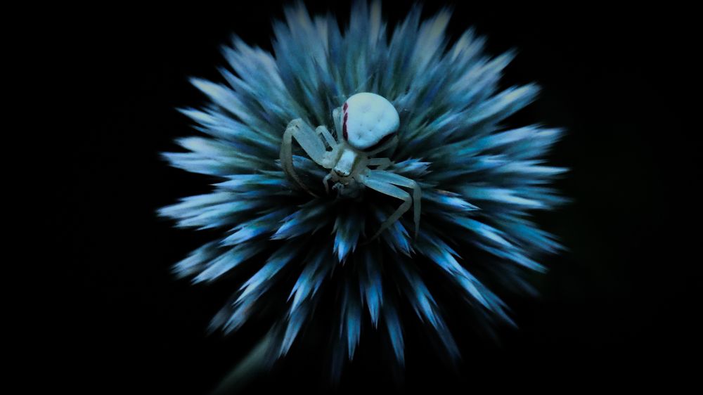 Фотография автора Юлия Воронова