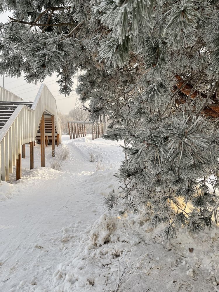 Фотография автора Сычкова Евгения