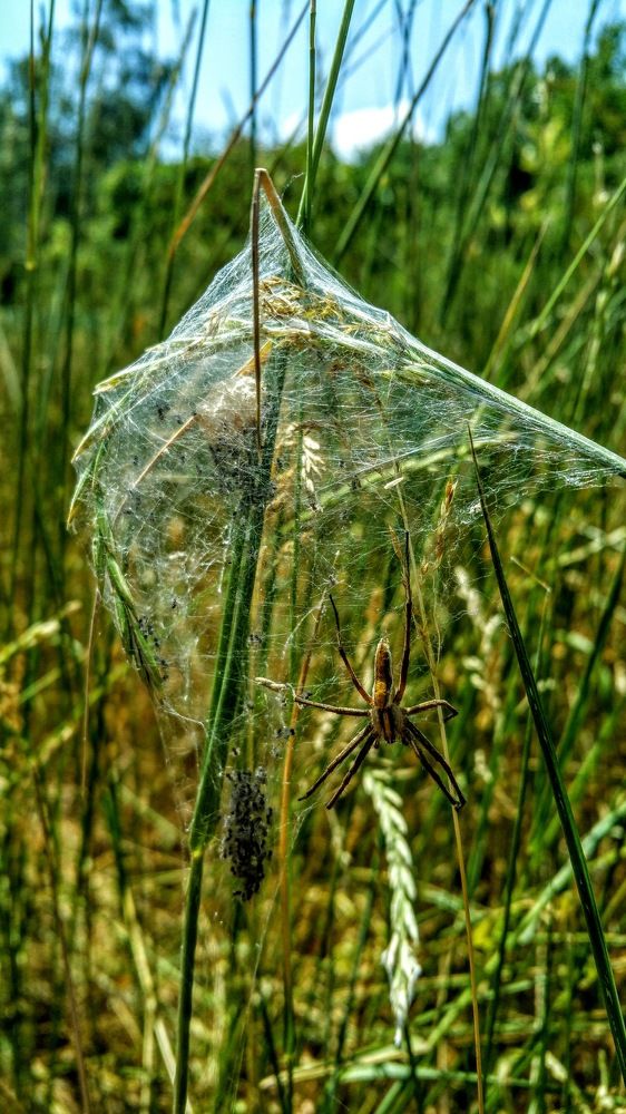 Photograph by Vitalie