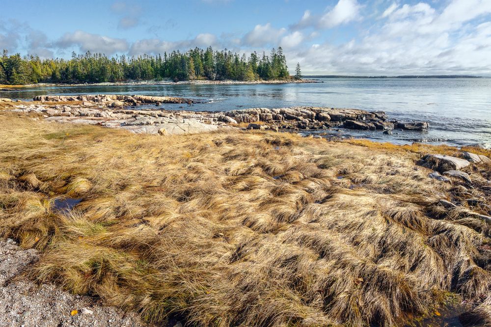 Photograph by Vyacheslav Shausmanov