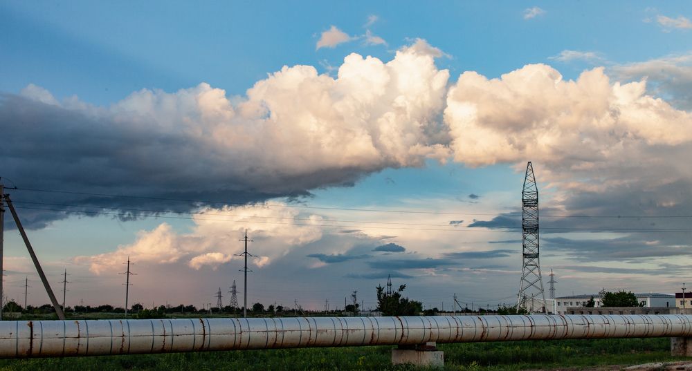 крылатый поцелуй