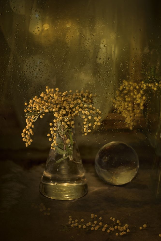 Photograph by Viktoria Alaküla