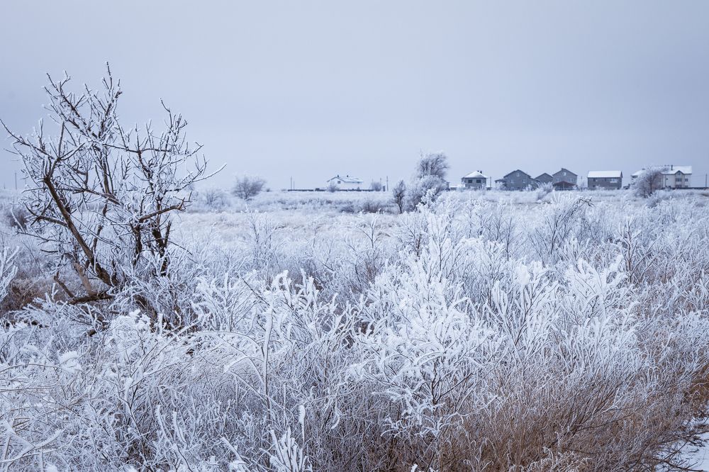 иней и мороз