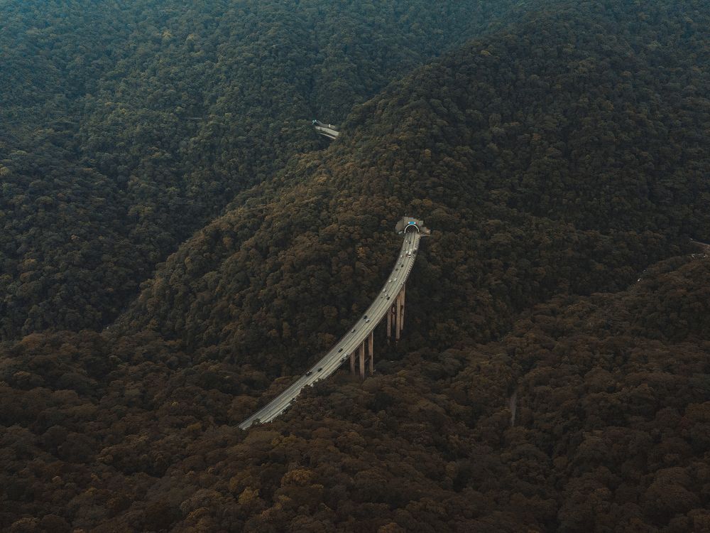 Photograph by José Carricondo