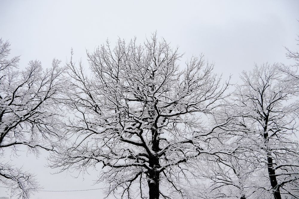 Photograph by Виктория Писаренко
