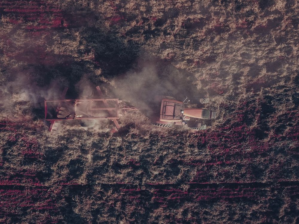 Photograph by José Carricondo