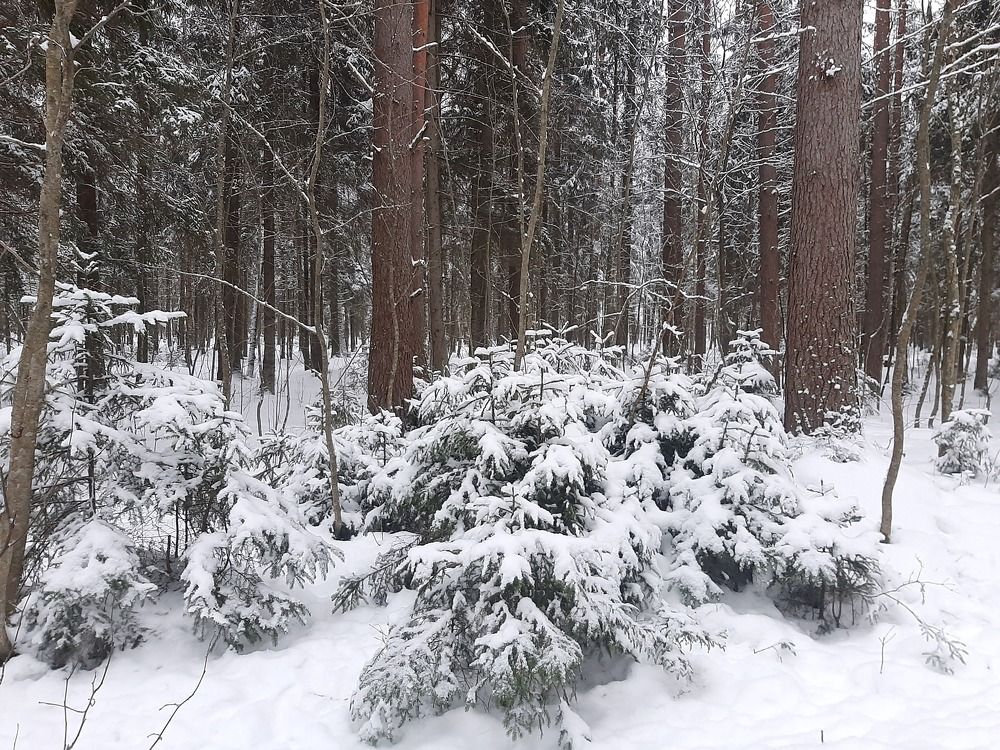 Photograph by Елена Грошева