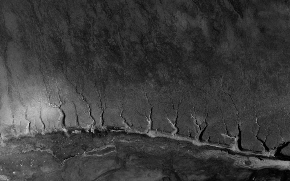 Фотография автора Ruslan Stepanov