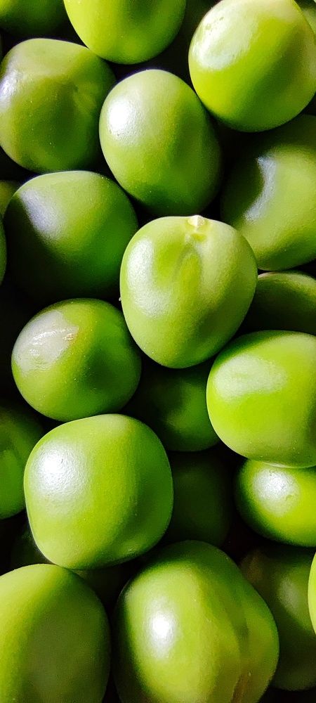 Green Peas