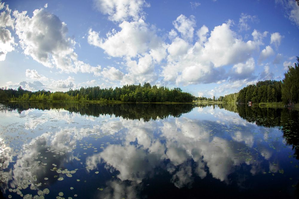 Photograph by Ольга Кобринская