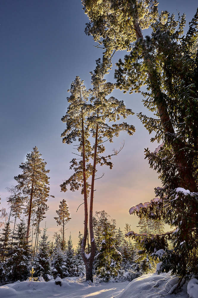 Photograph by Валерий Куропаткин