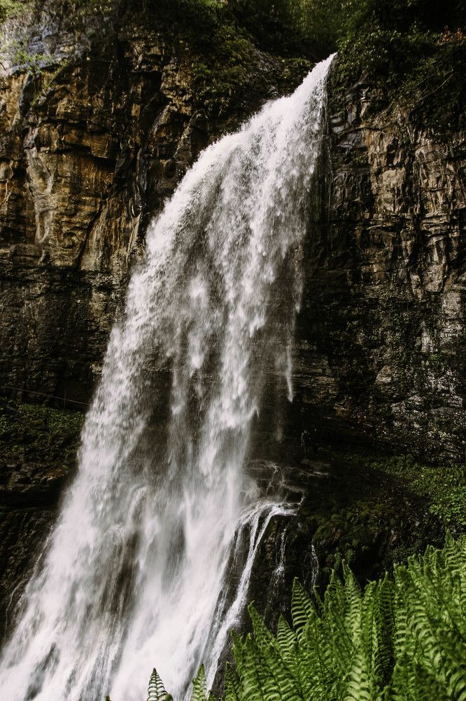 Photograph by Инна Кузьмичева