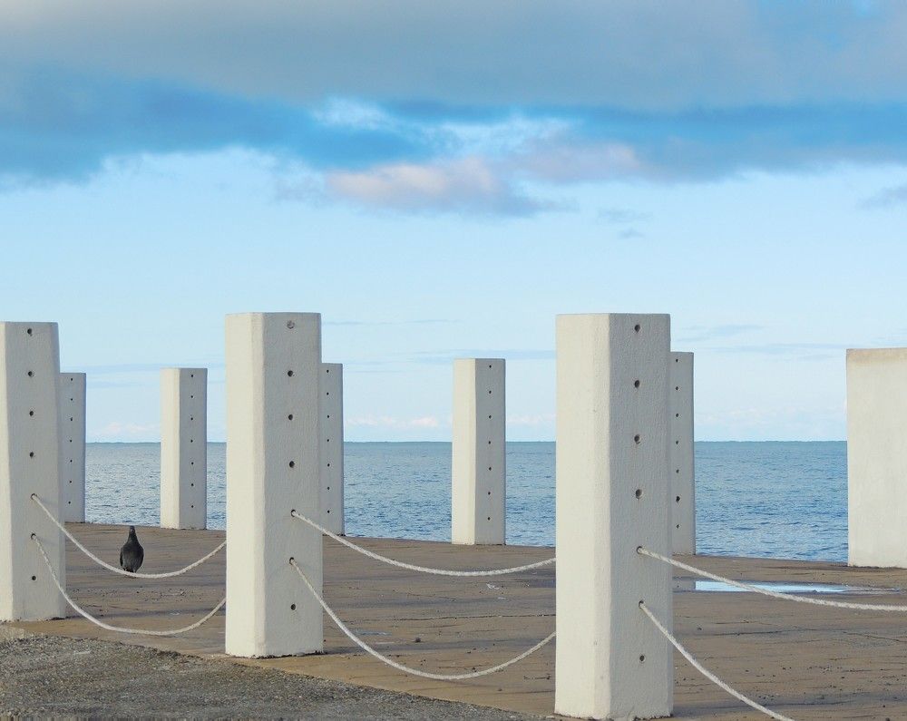 Фотография автора Tsitsi Petriashvili