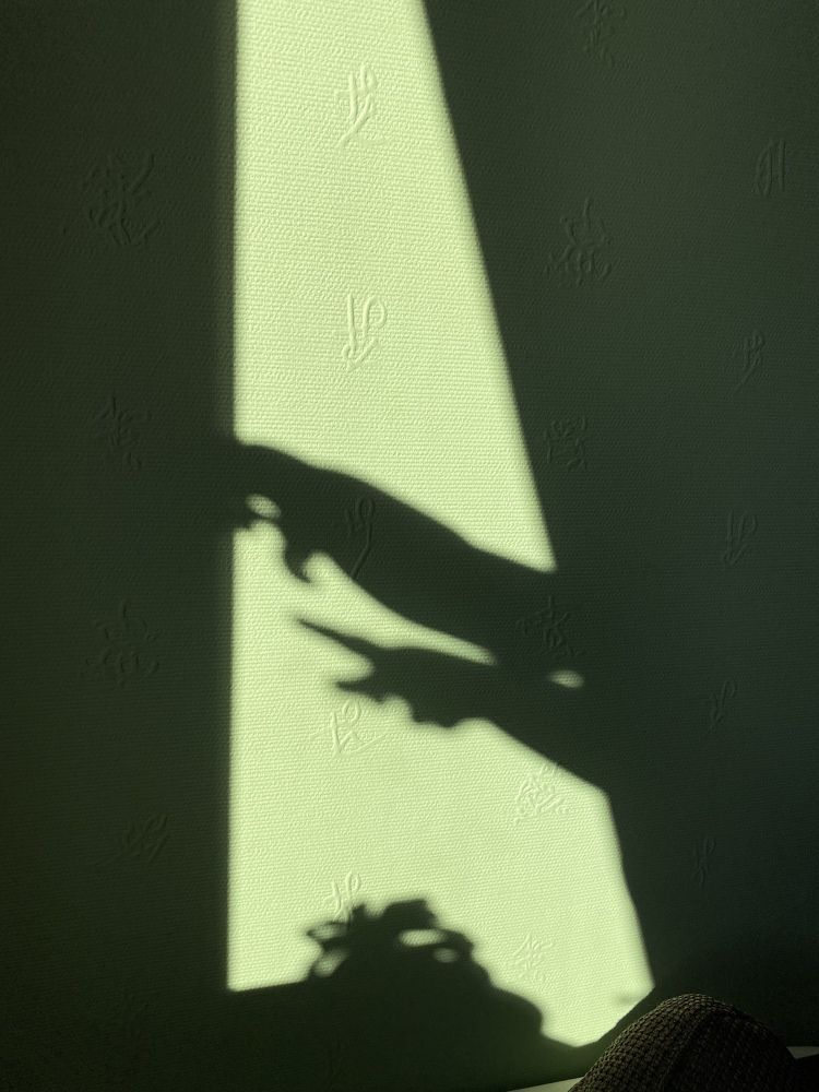 Photograph by Виктория Лаур