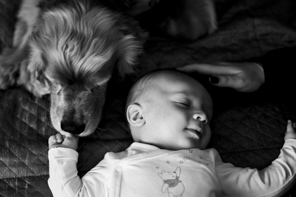 Photograph by Ростислав Непомнящий