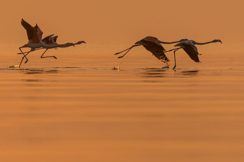Photograph by Sunil Dhar