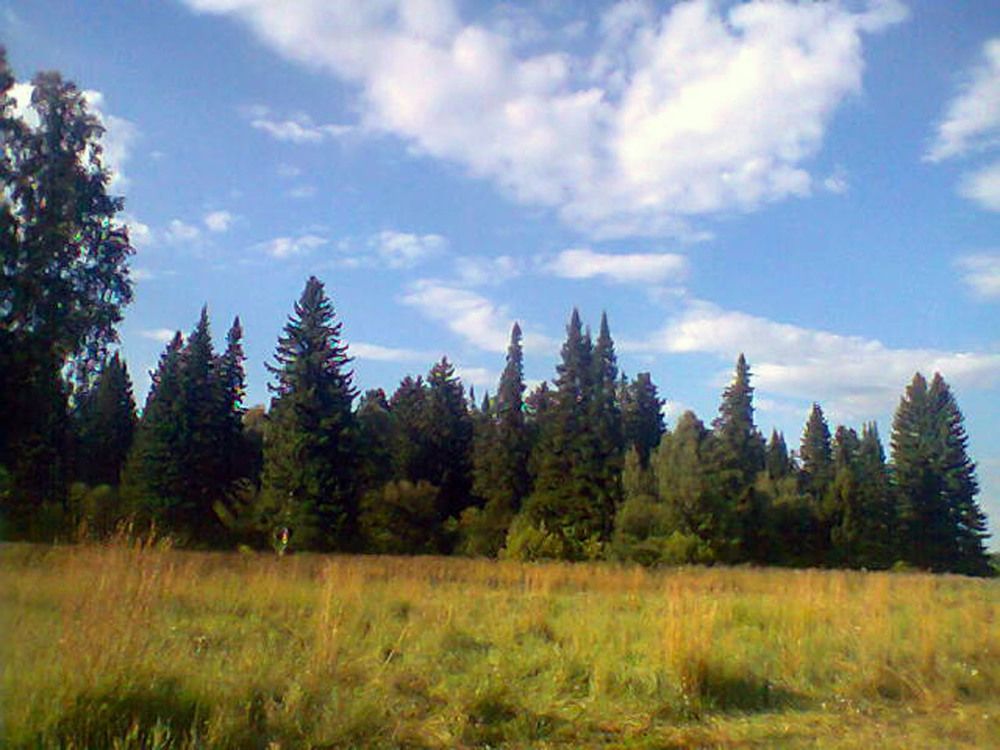 Photograph by Нина Мехнина