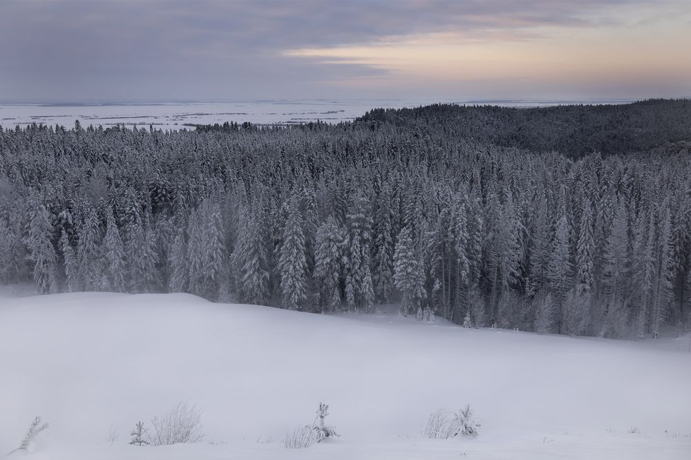 Photograph by Елена Брынько