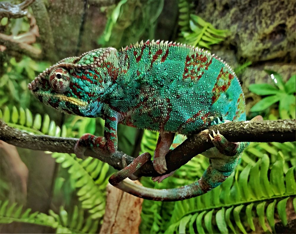 Photograph by Сергей Лобозов