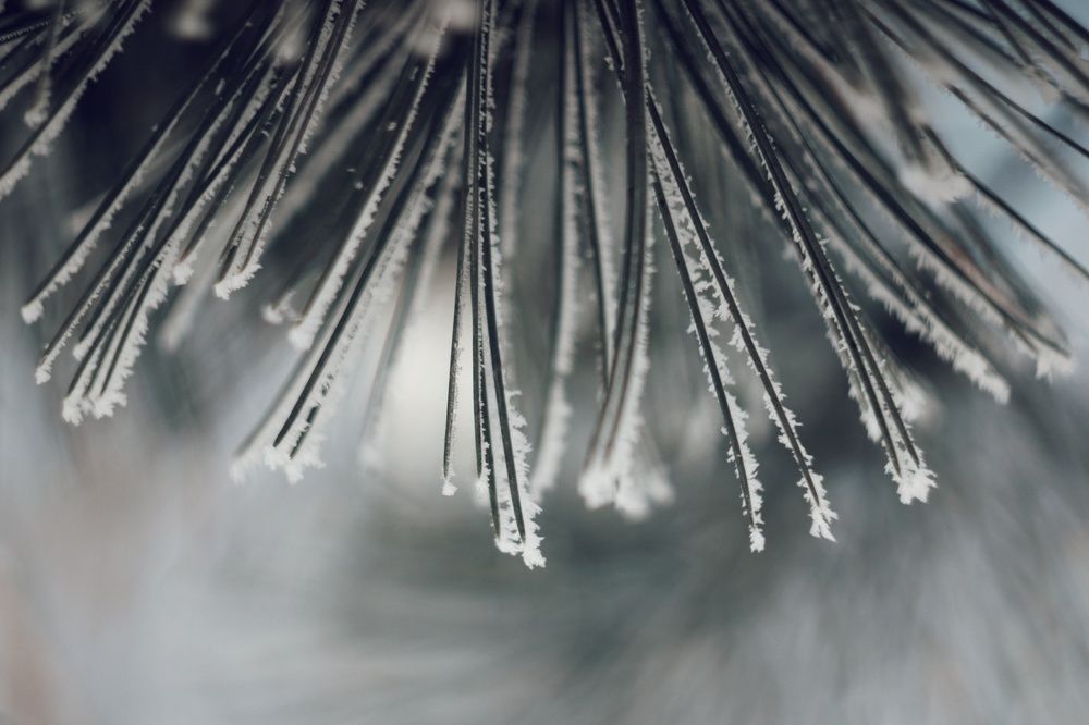 Photograph by Алёна Бондаренко