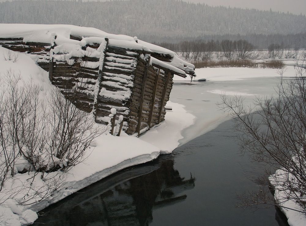 Photograph by Ирина Сушко