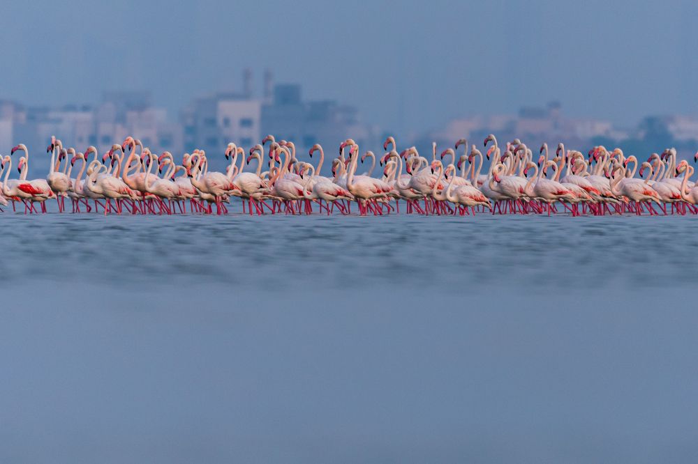 Photograph by Sunil Dhar