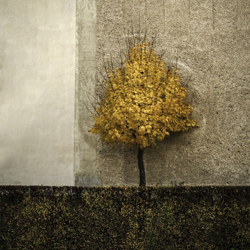 Photograph by Сергей Бургу