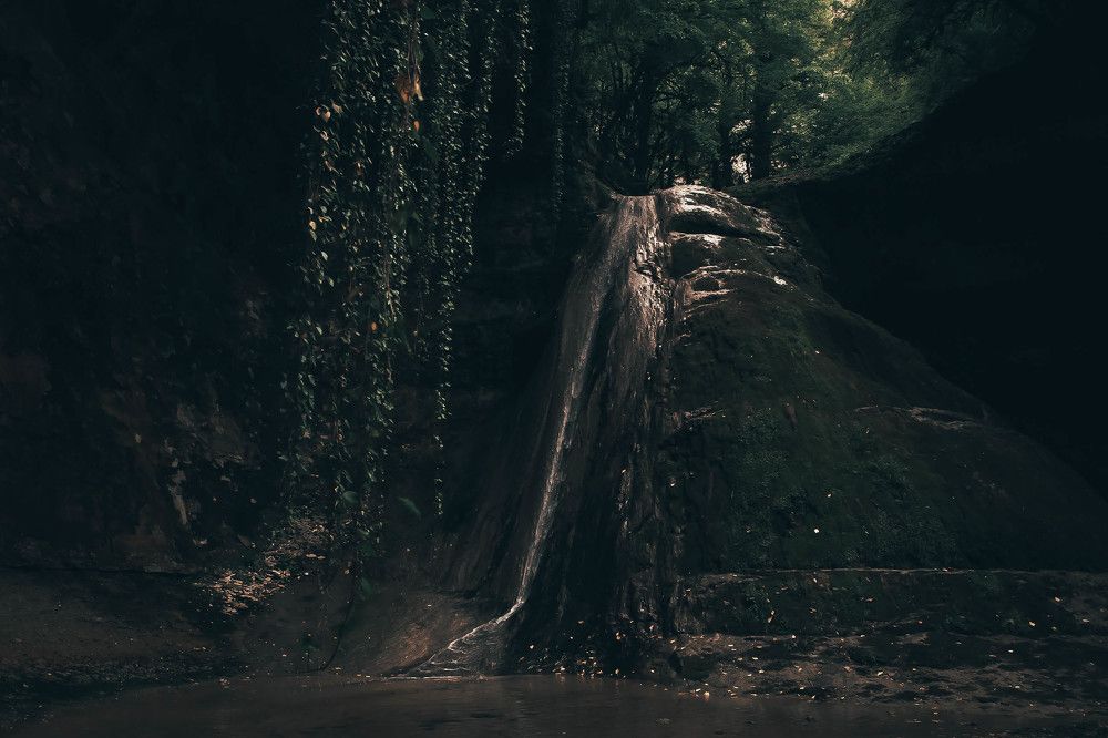 Photograph by Инна Кузьмичева