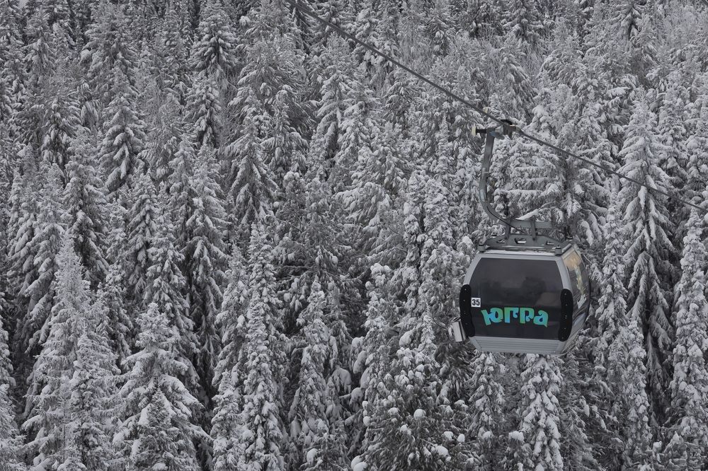 Photograph by Елена Брынько