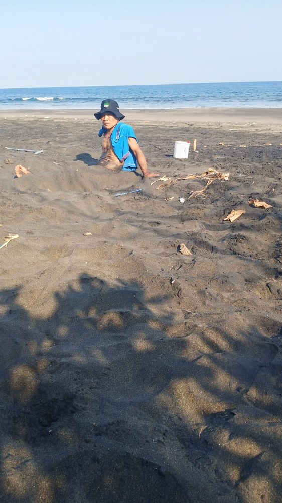 Photo #7114326
