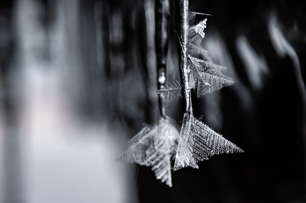 Photograph by Татьяна Глухова