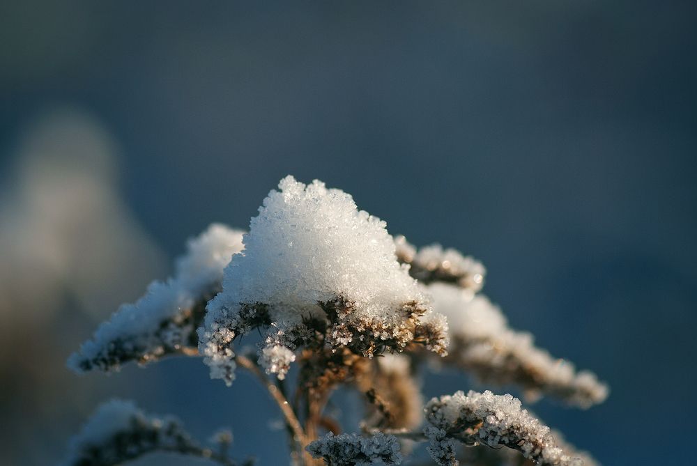 Photograph by Екатерна