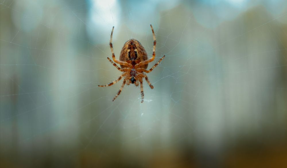 Photograph by Владимир Головин