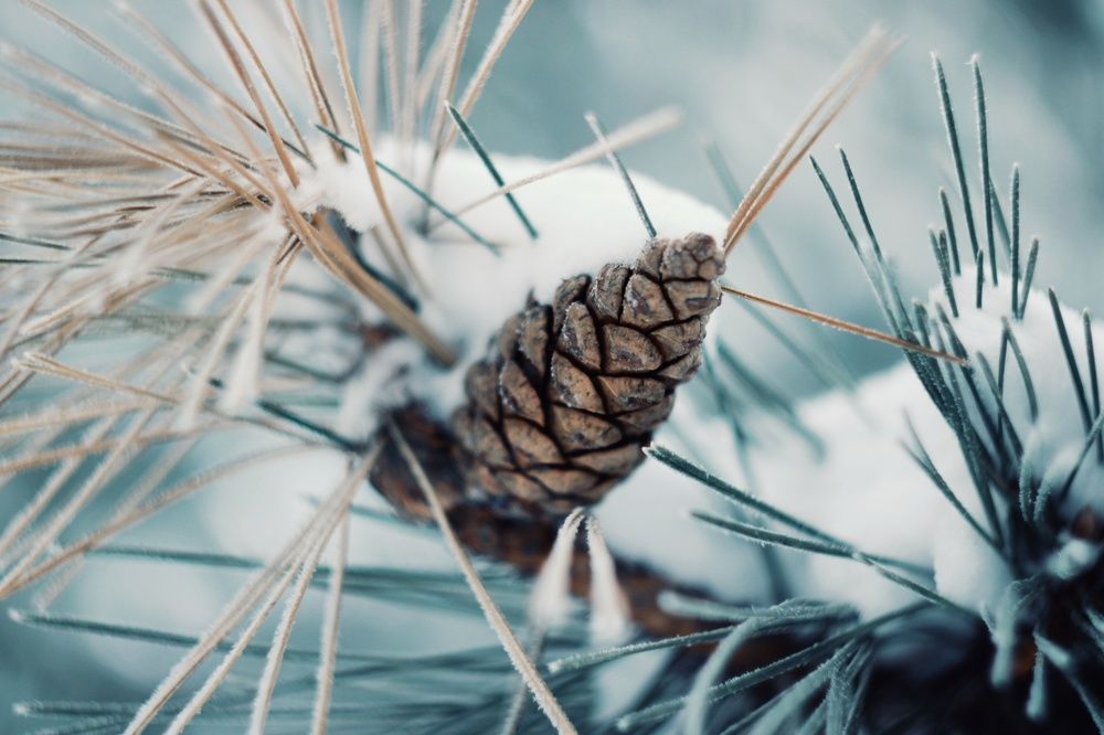 Photograph by Алёна Бондаренко