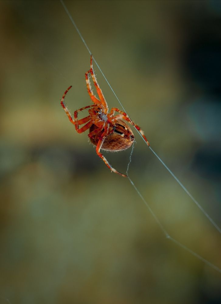 Photograph by Владимир Головин