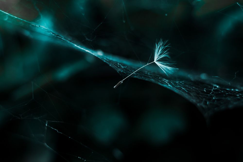 Photograph by Владимир Головин