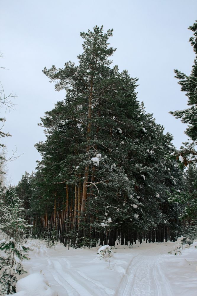 Photograph by Ангелина Карелина