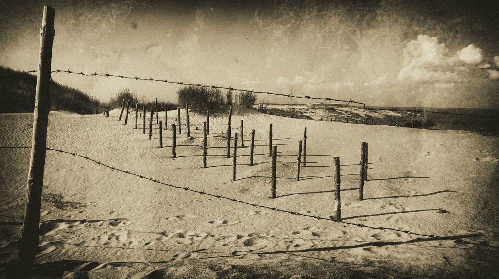 Photograph by Ольга Стоун