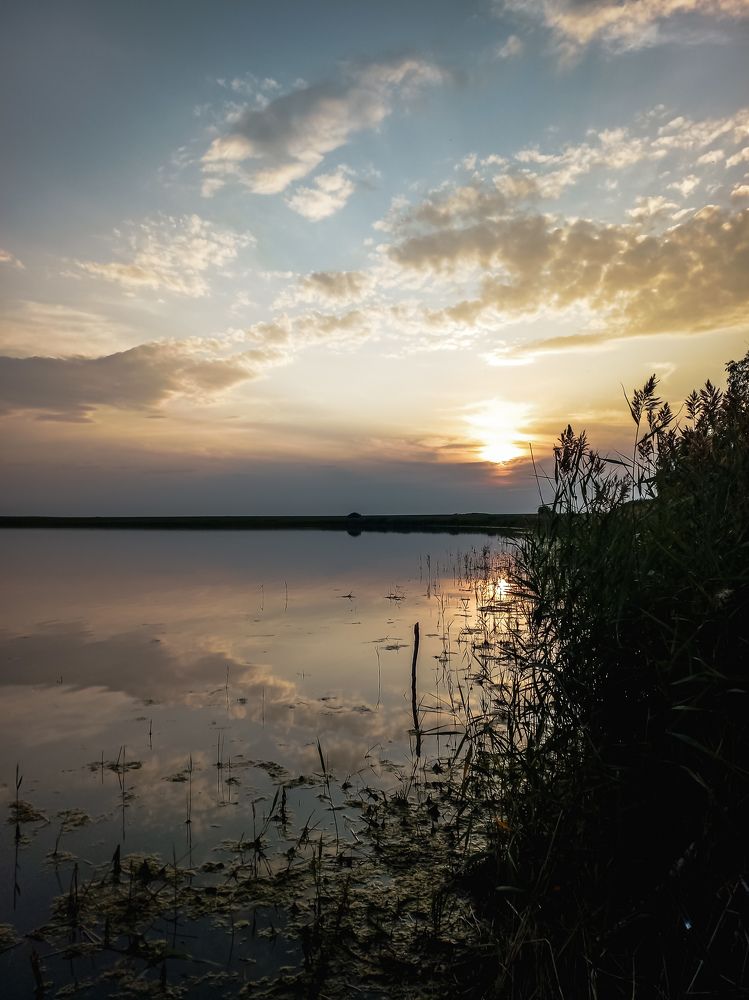Photograph by Артём Оганесян