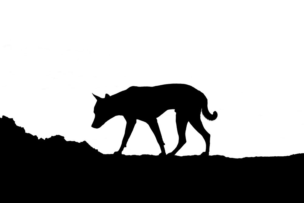 Photograph by chy ponleu