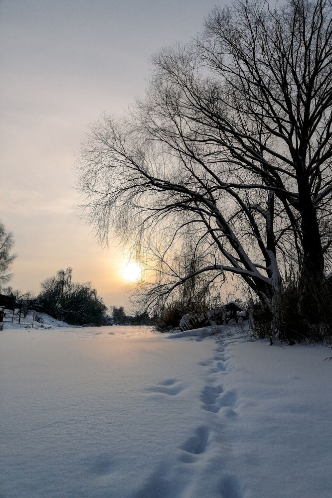 Photograph by Оксана Артемьева