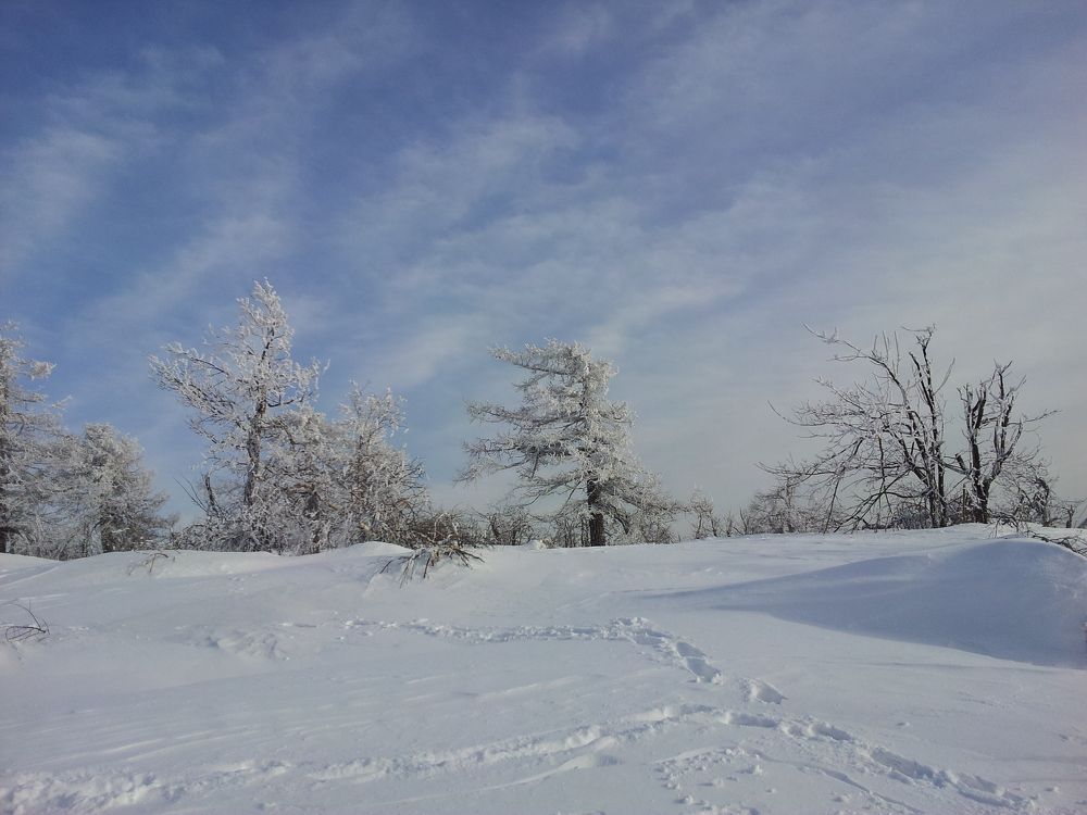 Photograph by Эвелина Бикмурзина