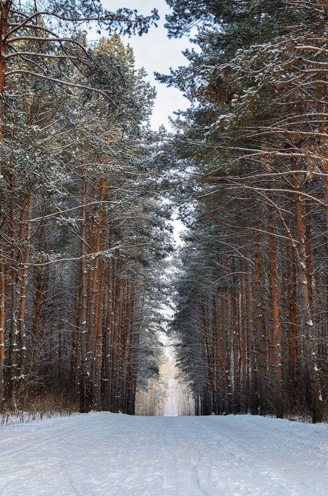 Photograph by Ильдар Валитов