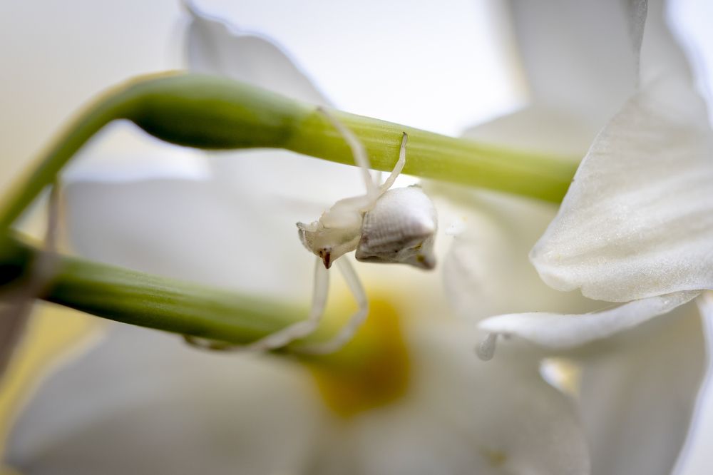 Фотография автора Nikolay Tatarchuk