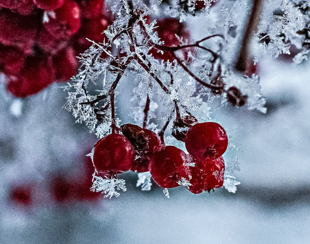 Photograph by Ирина Баландина