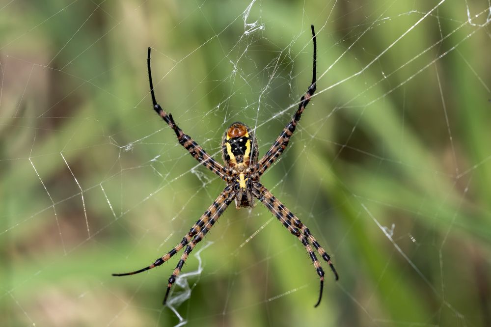 Фотография автора Nikolay Tatarchuk
