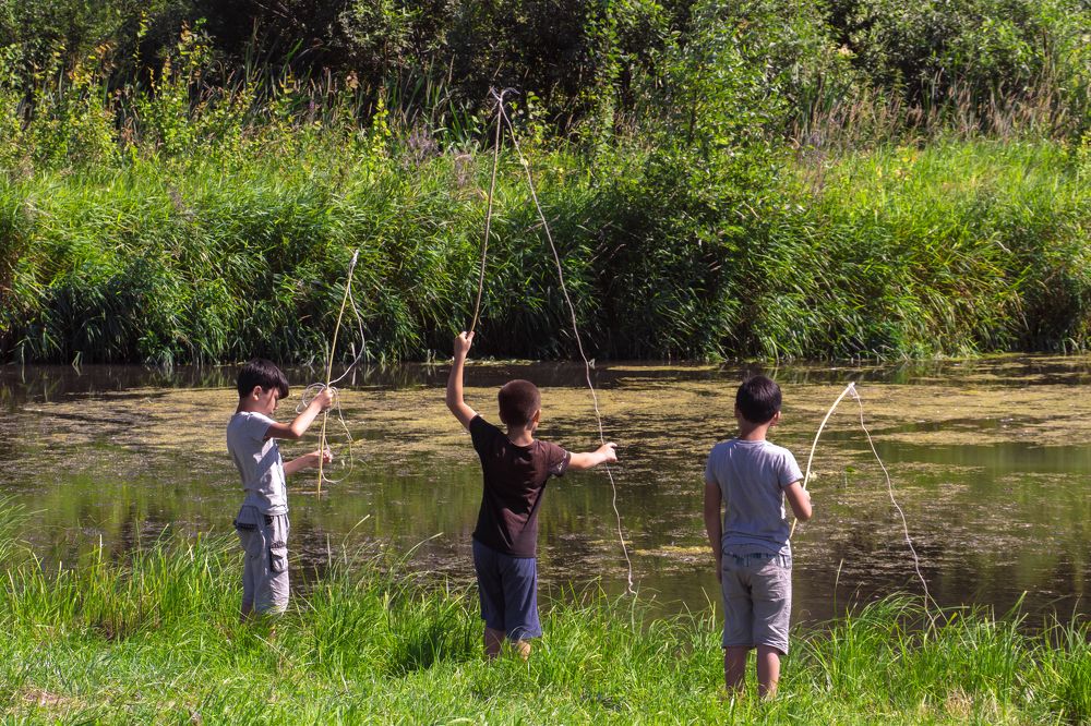 Photograph by Света Богоявленская